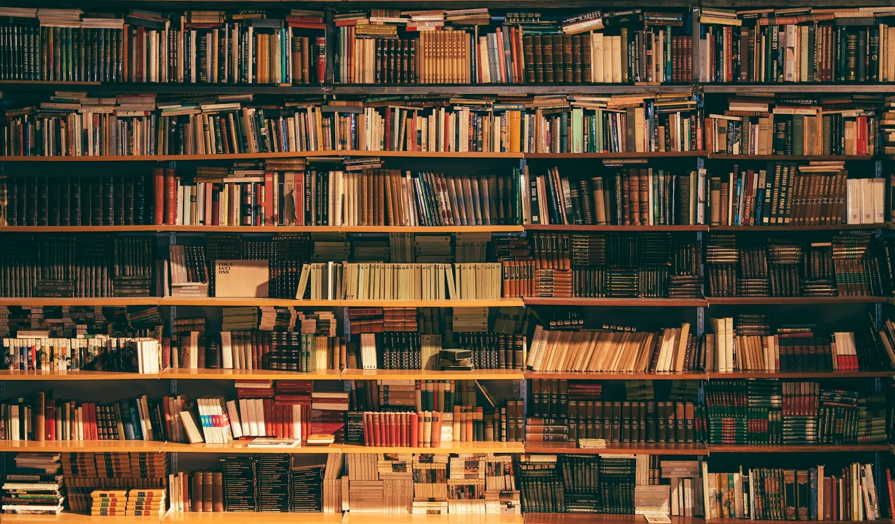 Floor-to-ceiling shelves of well-kept books in a private library